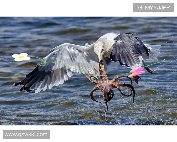 深海巨兽的对决：鲸与章鱼的生存智慧与生态博弈